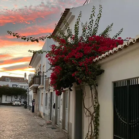 Peixe Agulha بيت للعطل